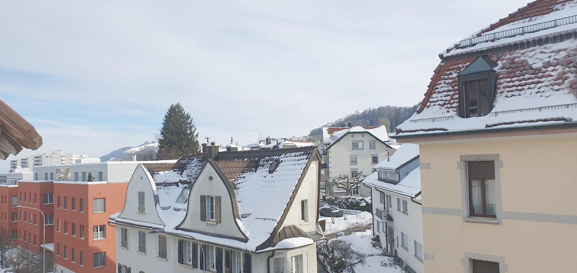 2 Zimmer Zentral-Ruhig Mit Flair Gertrud Schloessli Sankt Gallen Buitenkant foto