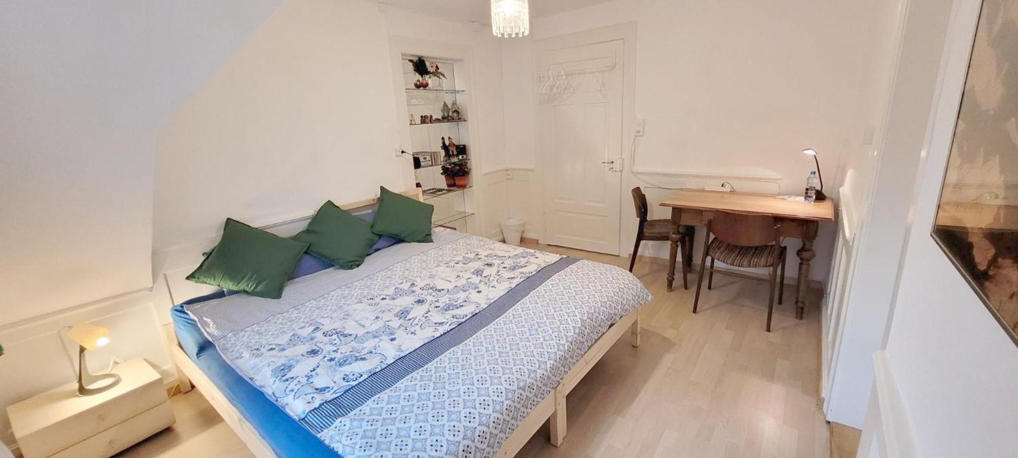 2 Zimmer Zentral-Ruhig Mit Flair Gertrud Schloessli Sankt Gallen Buitenkant foto